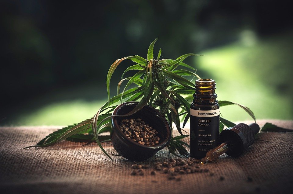 cbd ooil